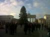 img00130-20111210-1109_t1_1.jpg