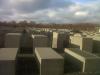 img00140-20111210-1131_t1_1.jpg
