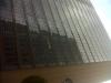 img00154-20111210-1223_t1_1.jpg