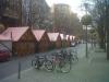 img00155-20111210-1223_t1.jpg