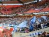 p4110066_t1.jpg
